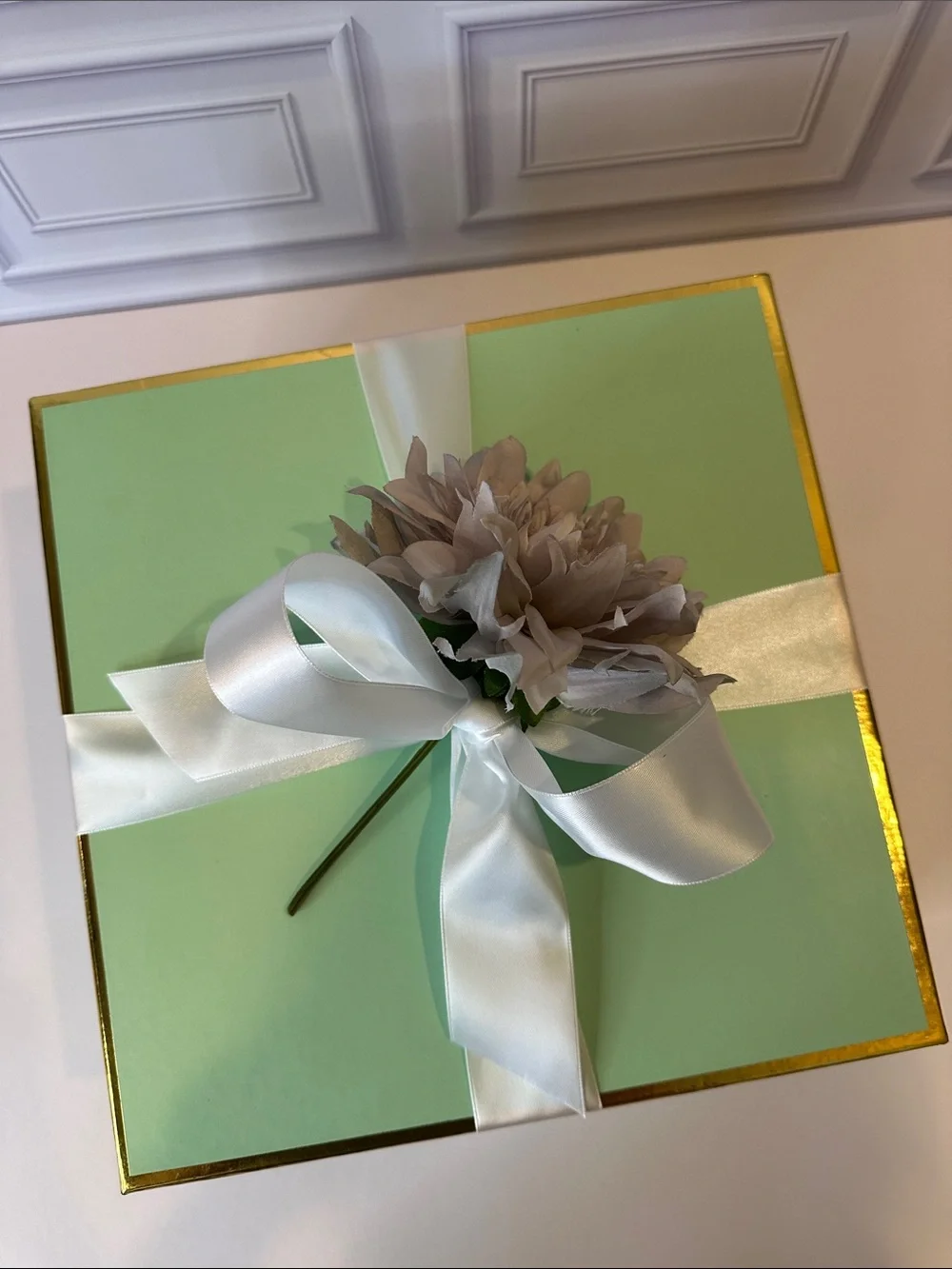 Target Ceramic Soap Dispenser, faux plant & frame Green Box Set #1